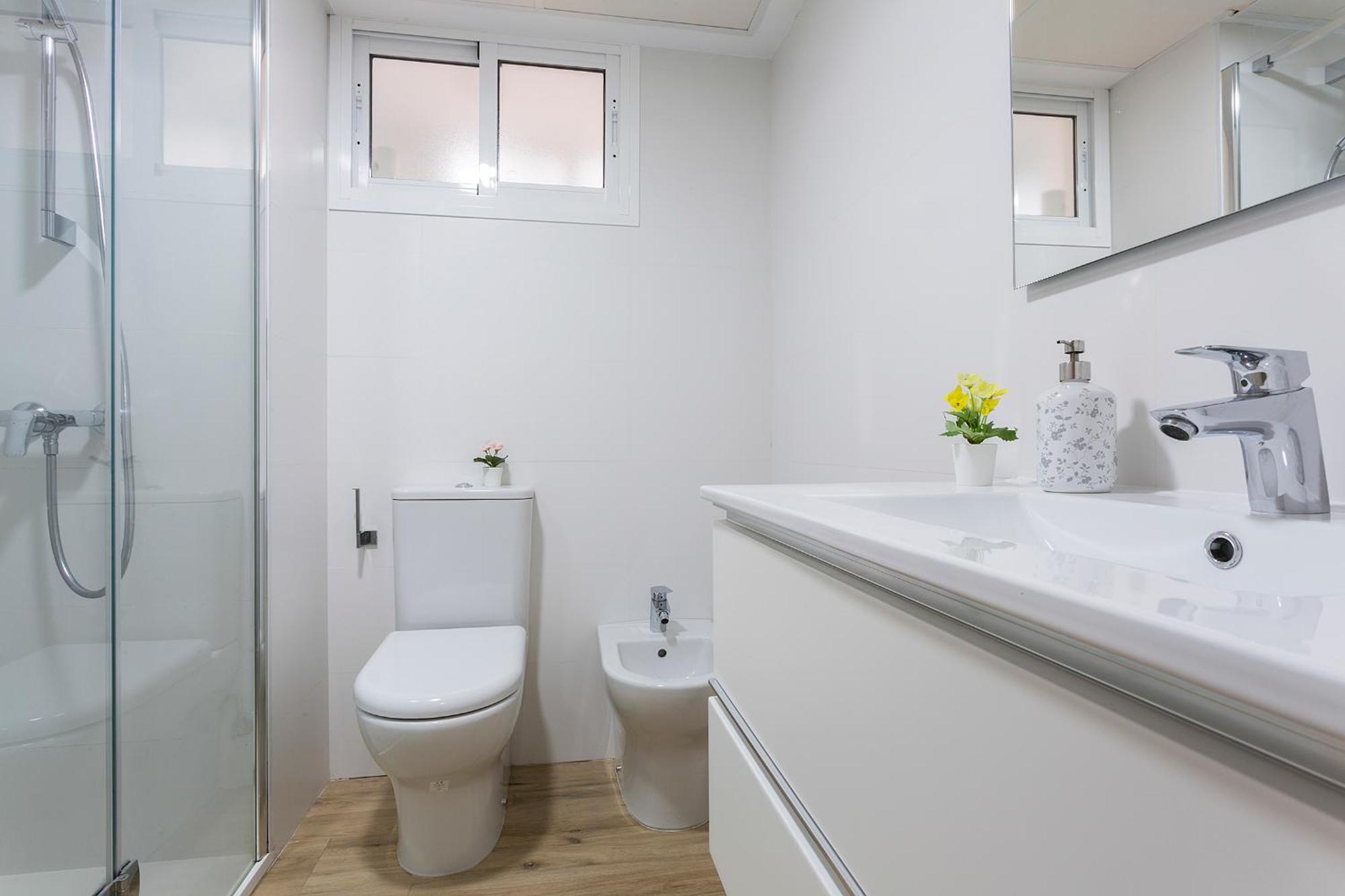 Apartamento Centro Virgen Guia 3 *