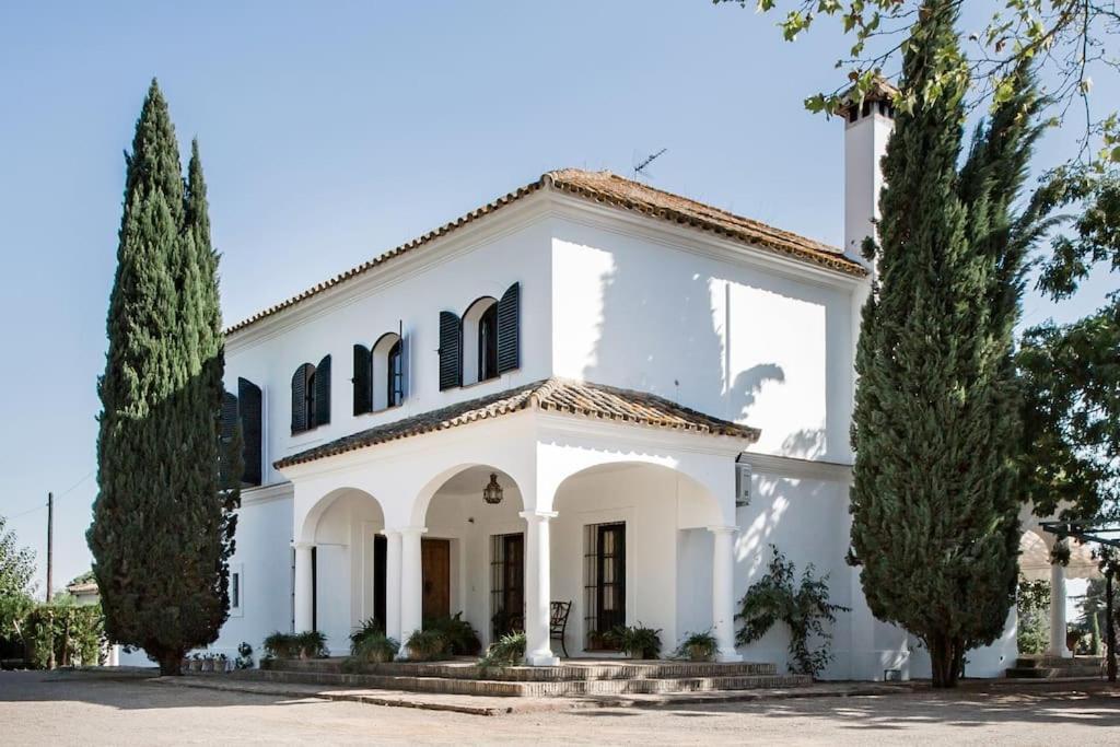 Casa Del Monte * Sevilla