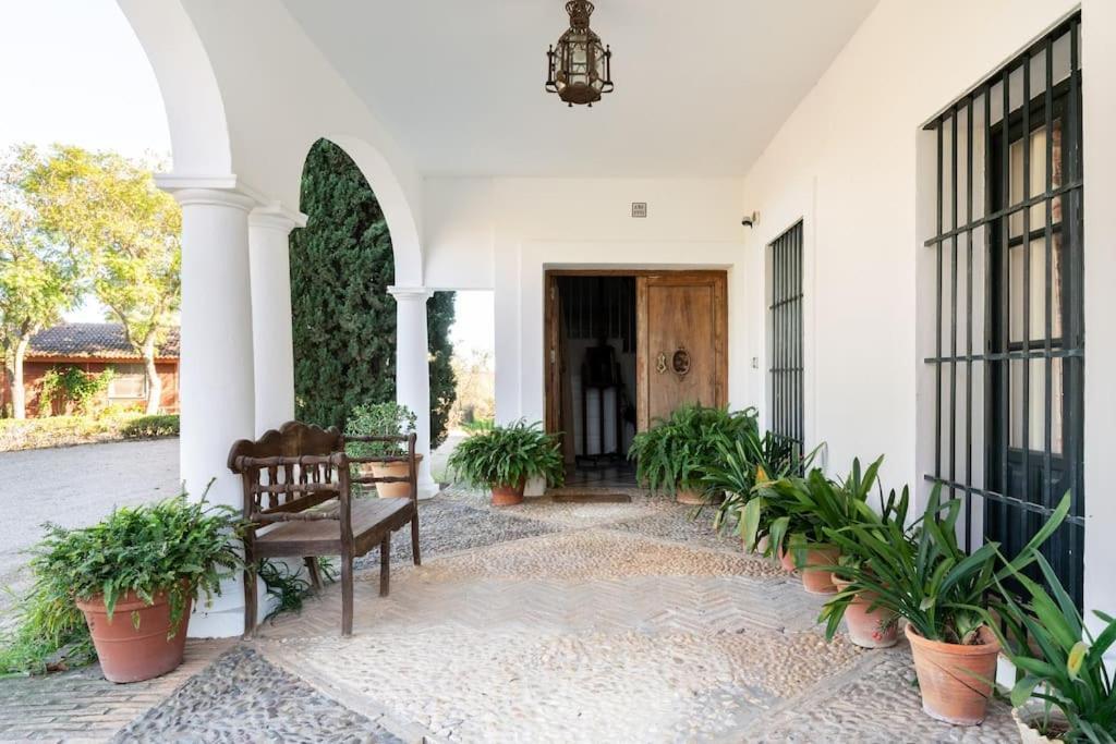 Casa Del Monte * Sevilla
