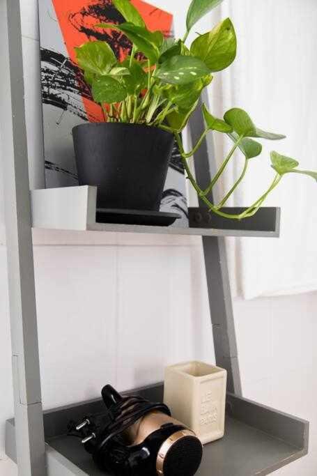 Espacio En Triana Apartamento
