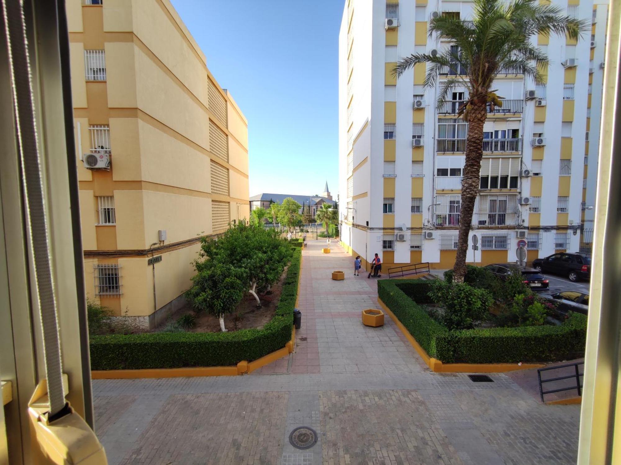 Apartamento Celia Sevilla