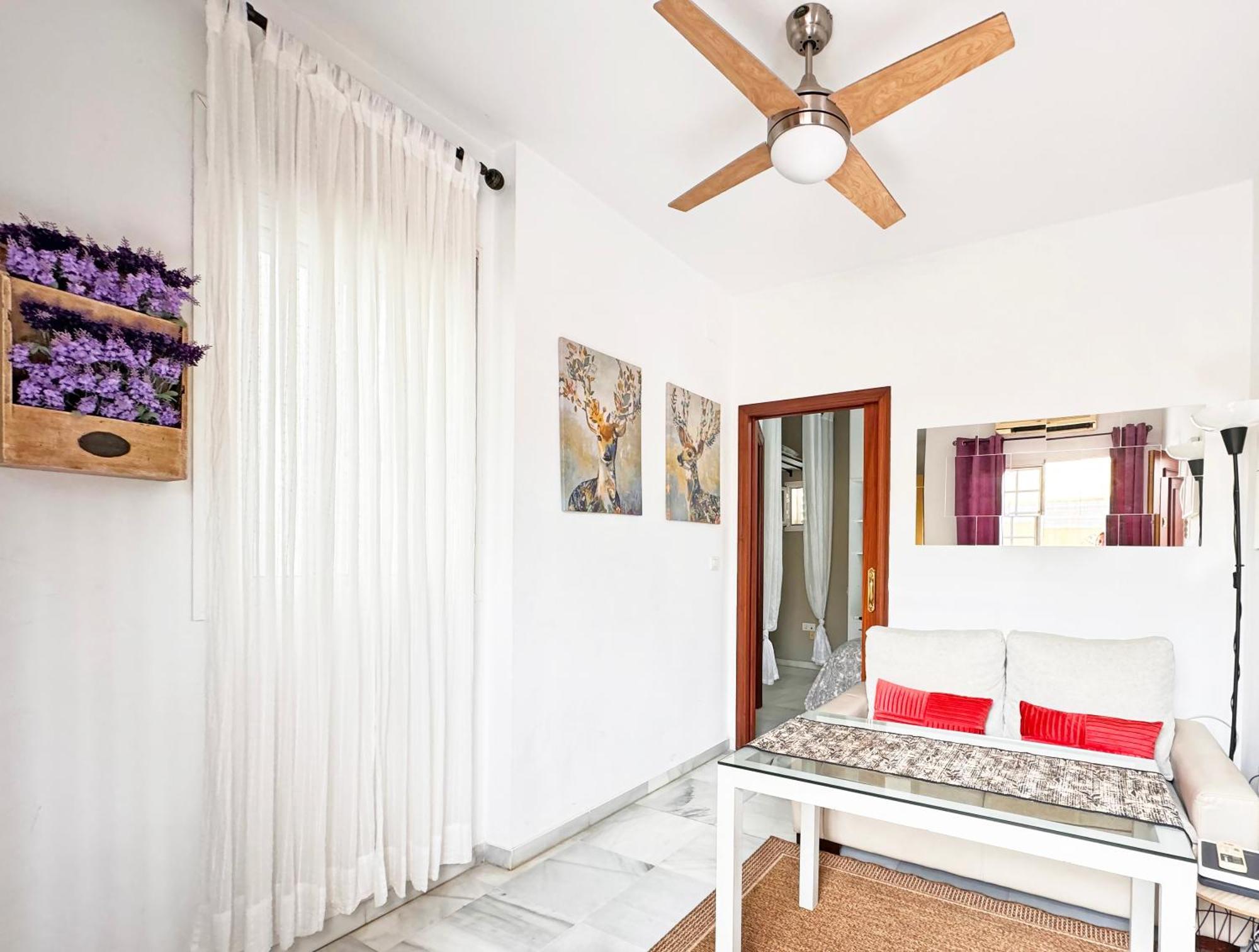 Apartamento Atico Con Terraza Privada
