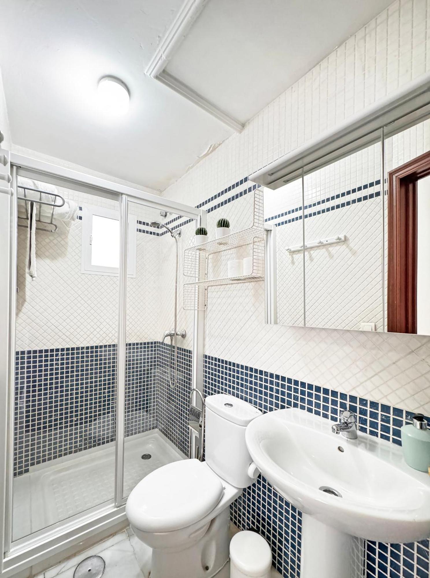 Apartamento Atico Con Terraza Privada Sevilla