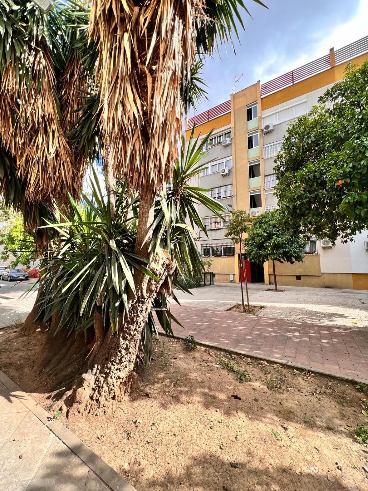 Comfortable & Apartment