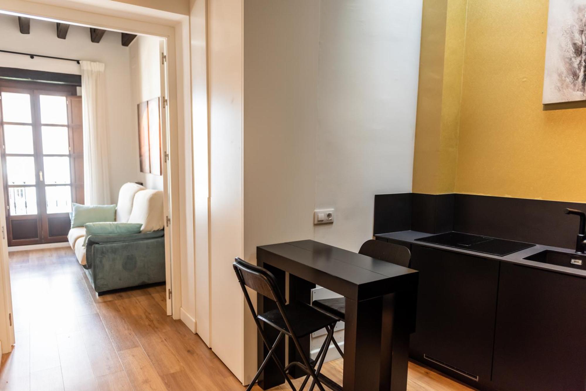 Duplex Luxury Giralda With Terrace Apartment *