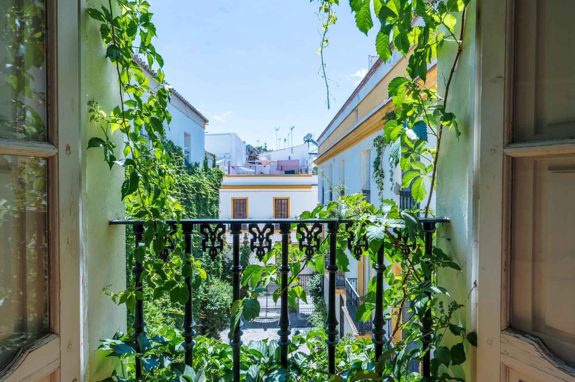 Vidrio 36 Apartamento