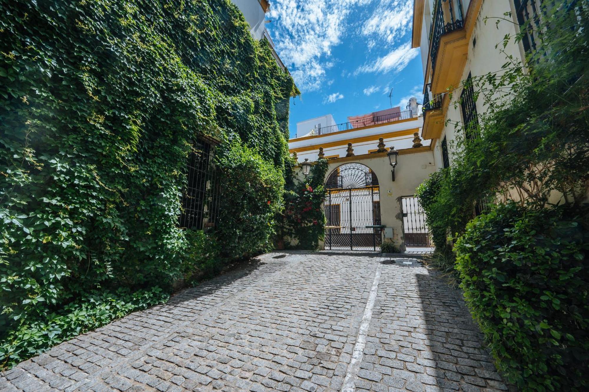 Apartamento Vidrio 36