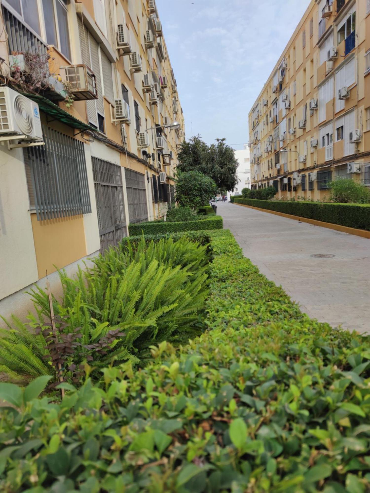 Apartamento Celia *