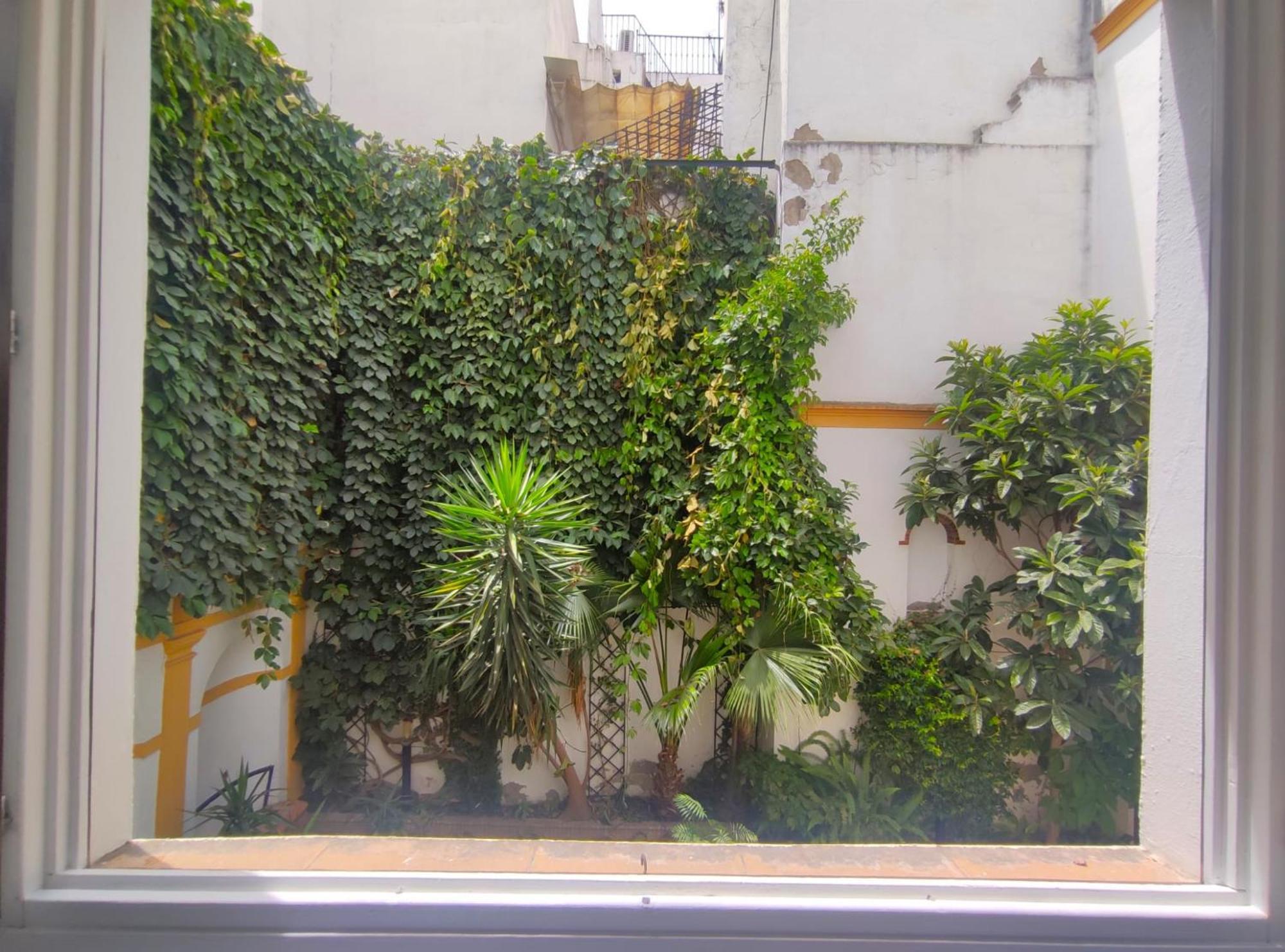 Palacio De Marqueses De Monsalud * Sevilla