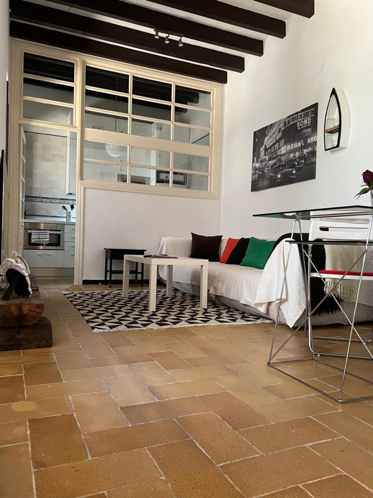 Triana Castilla Rio In Unique Building Apartment