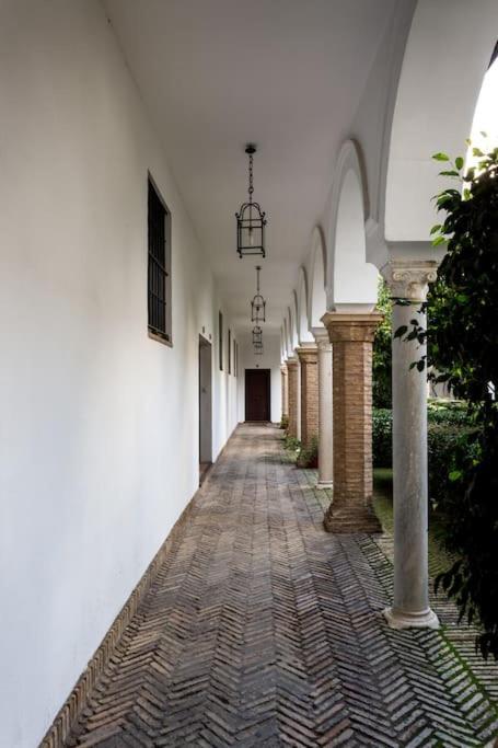 Zona 1 Santa Cruz Vistas Alcazares Parking Privado Sevilla