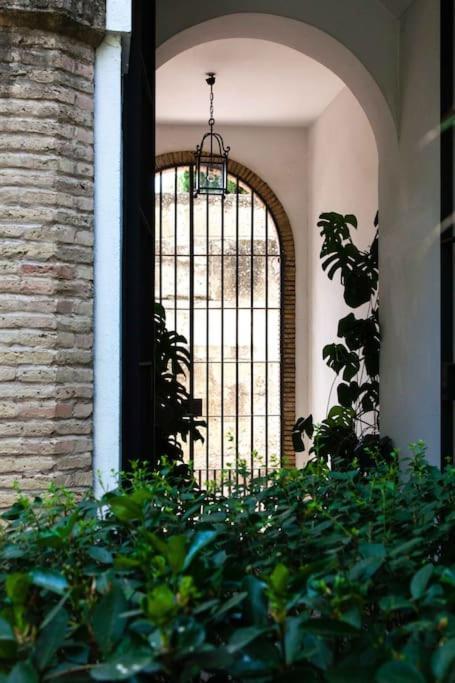 Zona 1 Santa Cruz Vistas Alcazares Parking Privado *