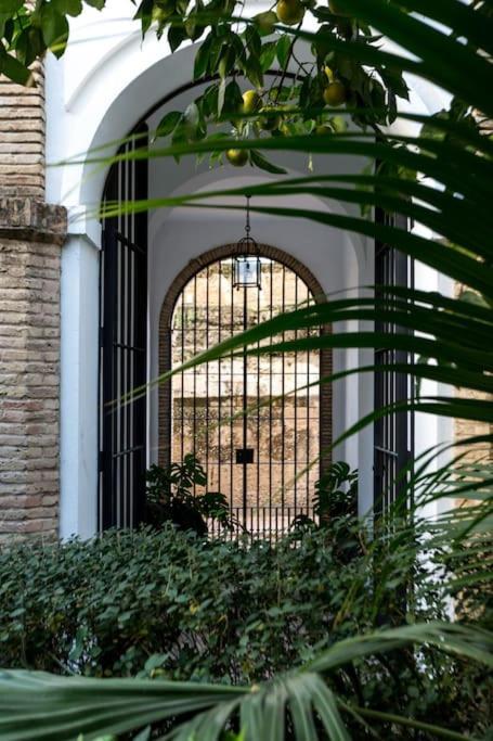 Apartamento Zona 1 Santa Cruz Vistas Alcazares Parking Privado Sevilla