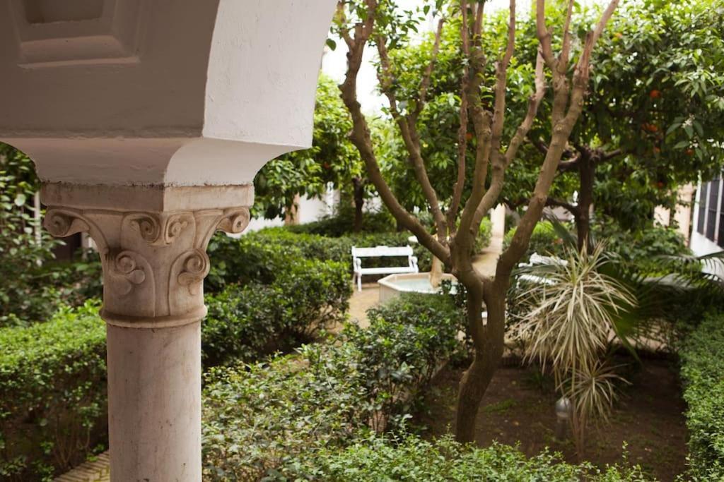 Zona 1 Santa Cruz Vistas Alcazares Parking Privado Sevilla