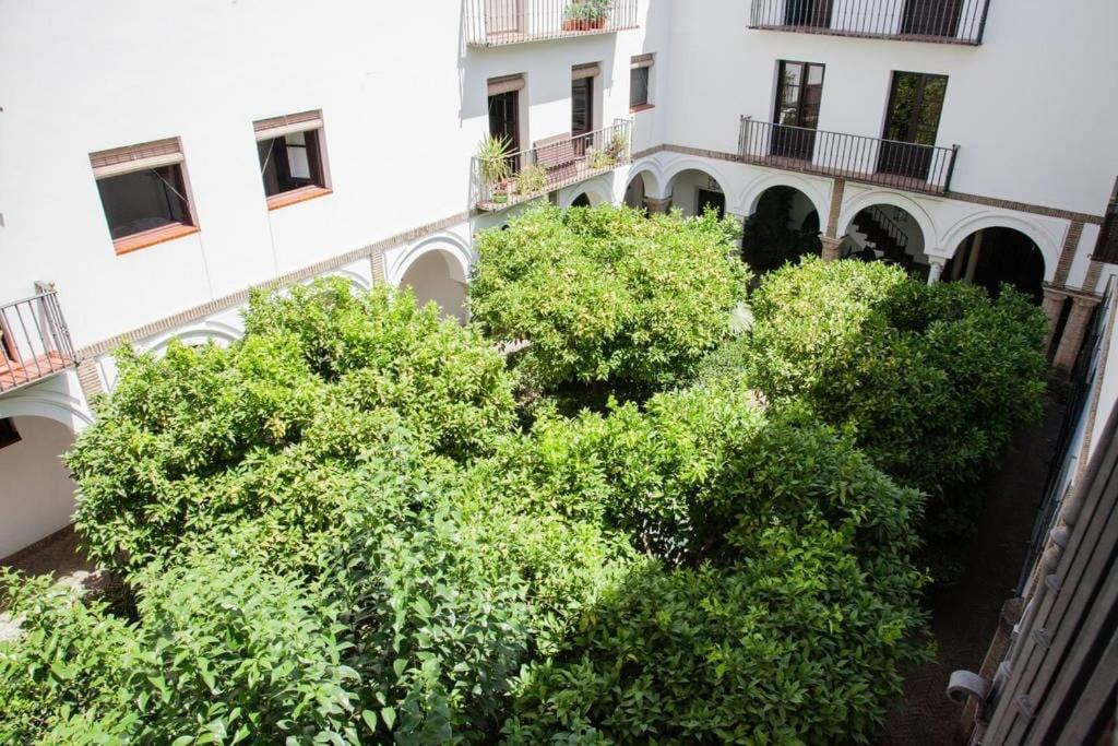 Zona 1 Santa Cruz Vistas Alcazares Parking Privado * Sevilla