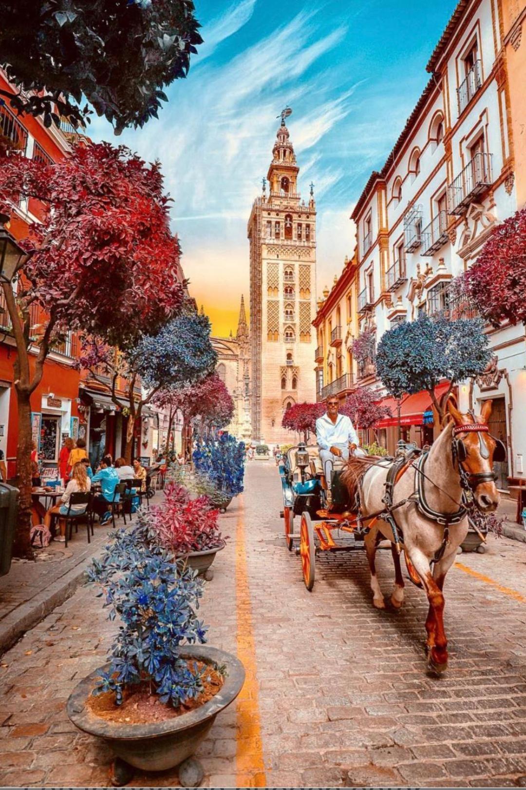 Flamenco Bed & Breakfast Seville