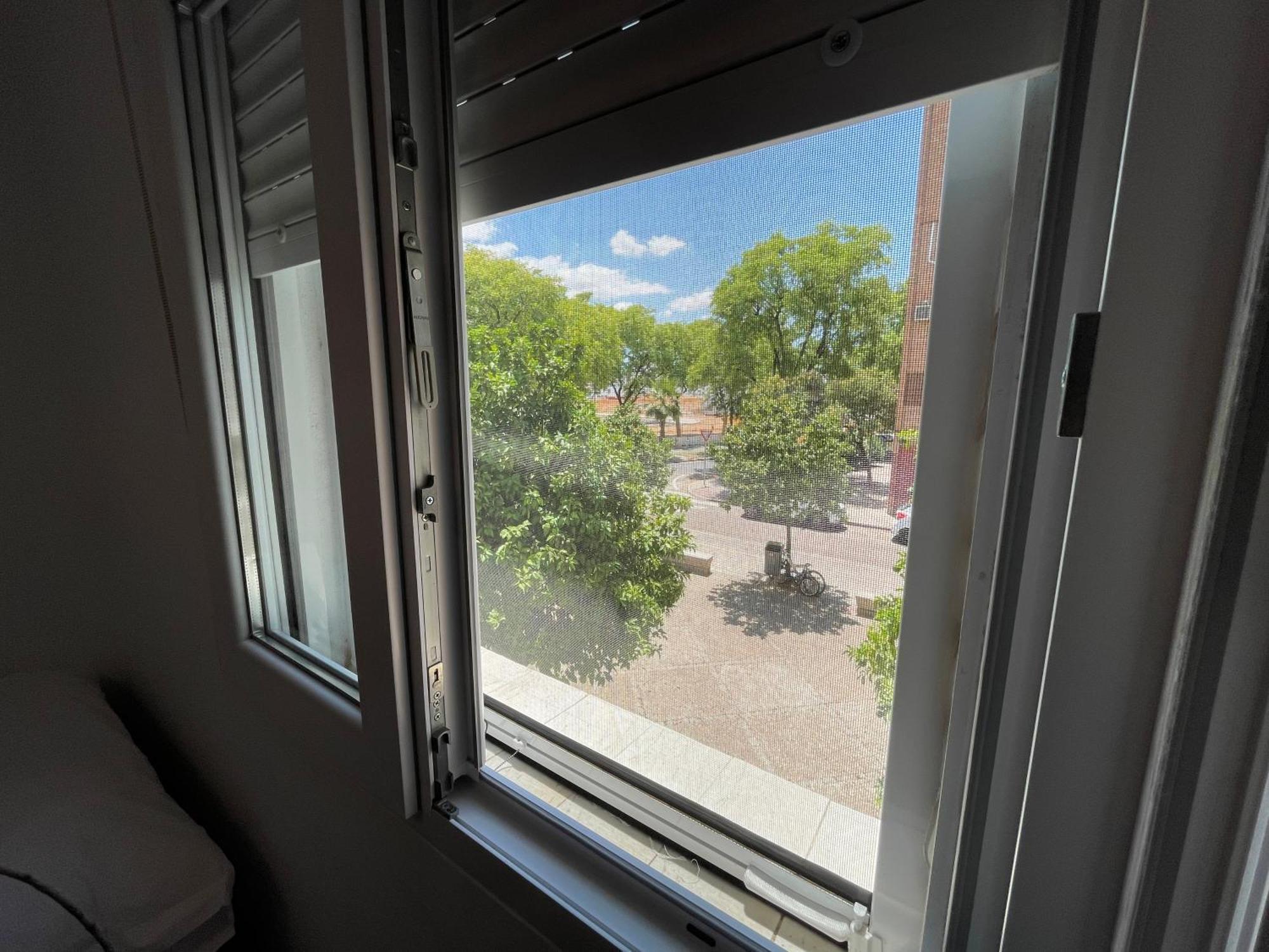Apartamento Naranjos De Zambra Sevilla