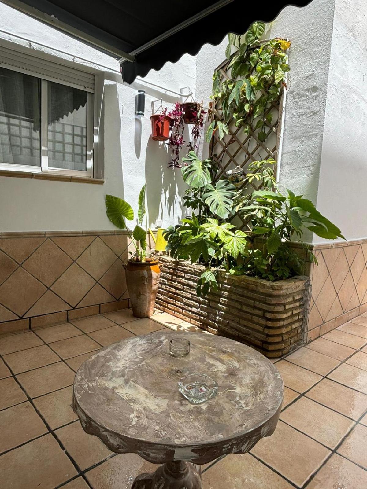 Panther Pureza Apartment Seville