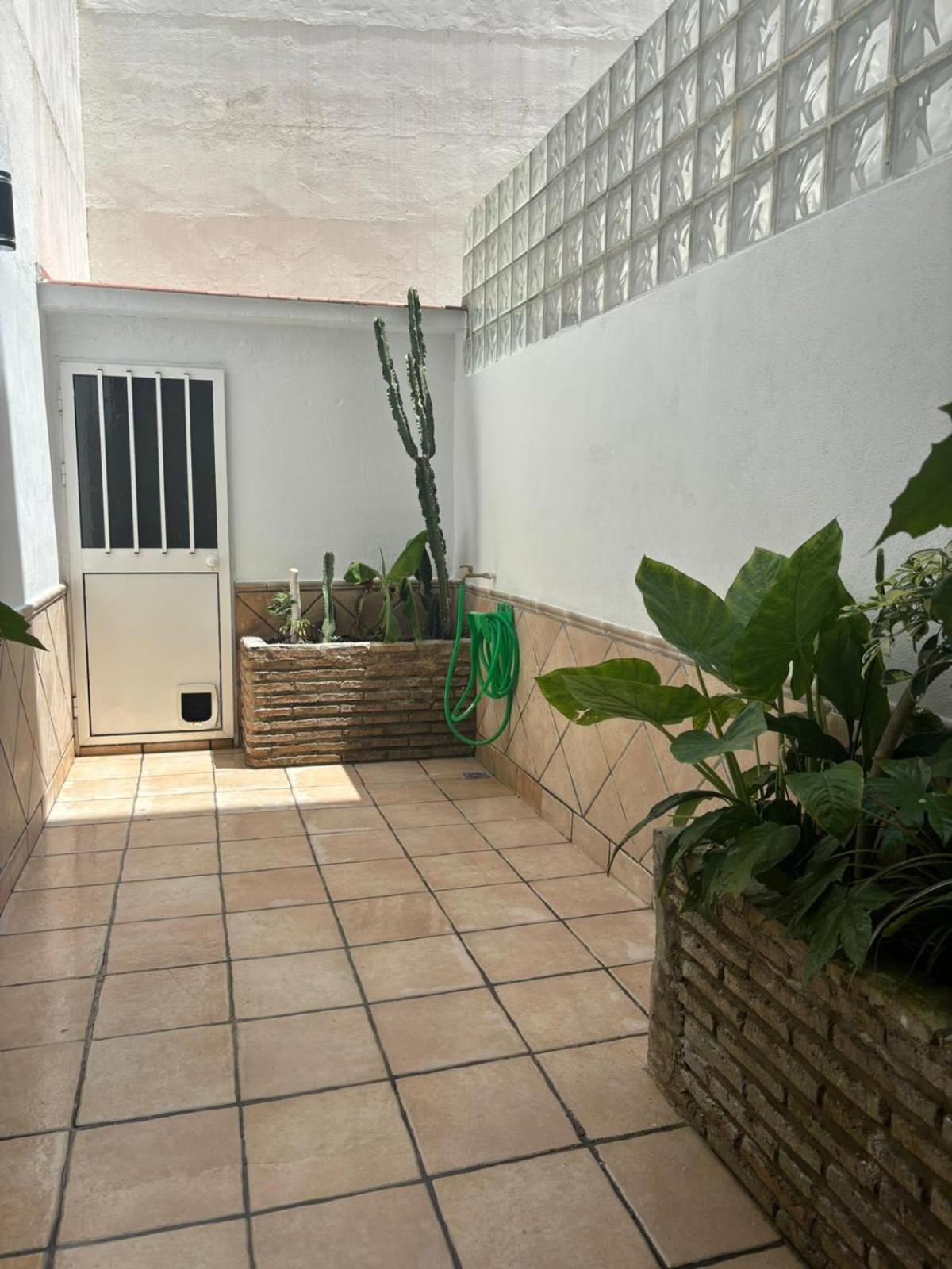 Panther Pureza Apartment Seville