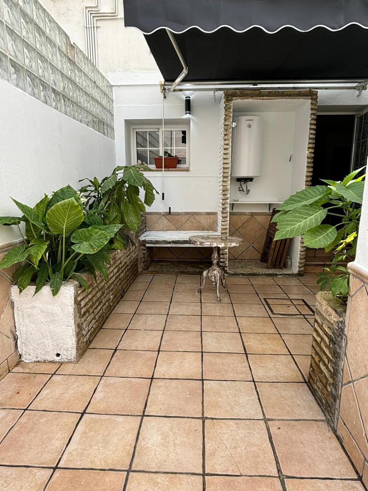 Apartment Panther Pureza Seville