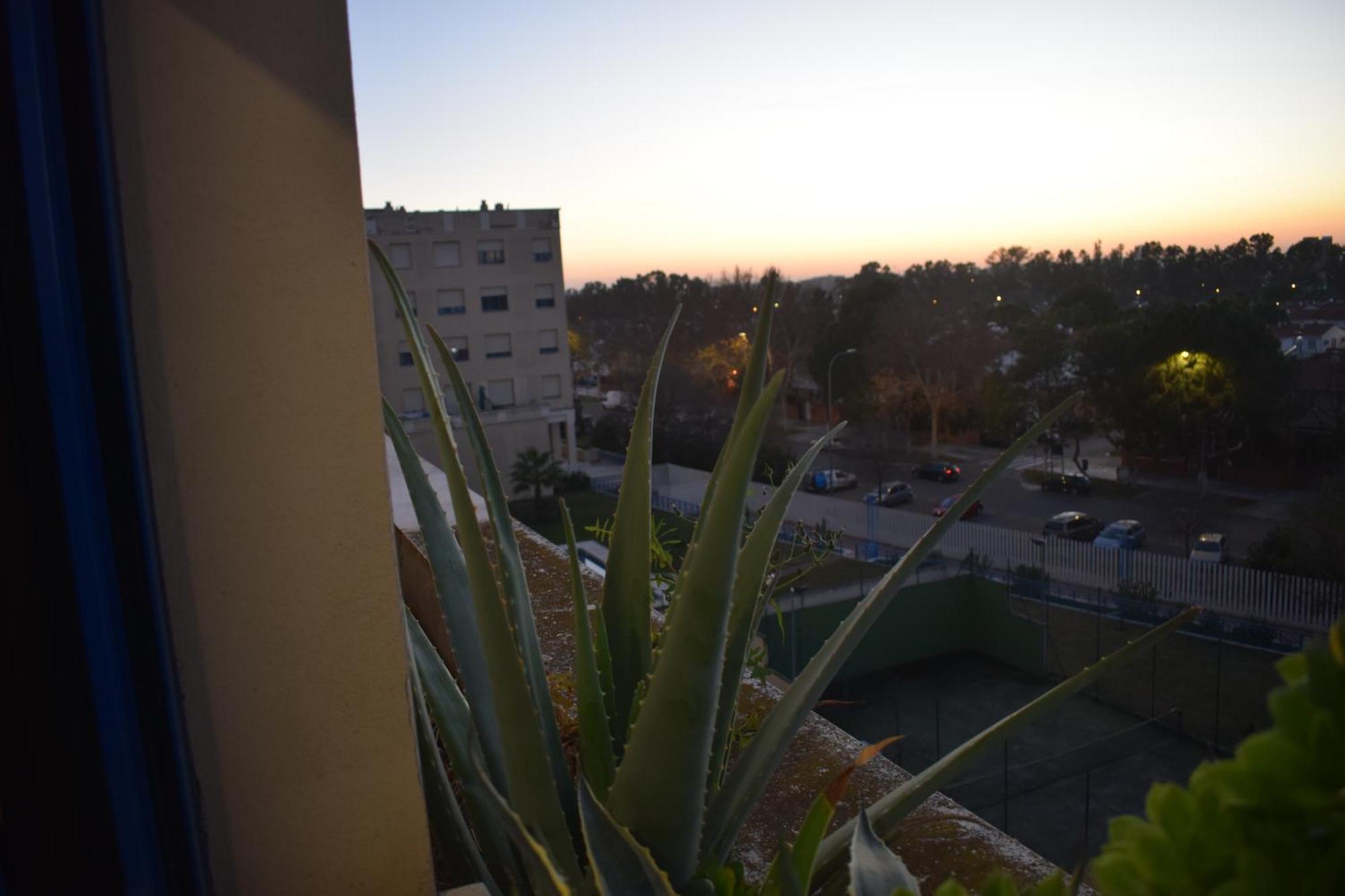 Fibes Lux Este. Apartamento