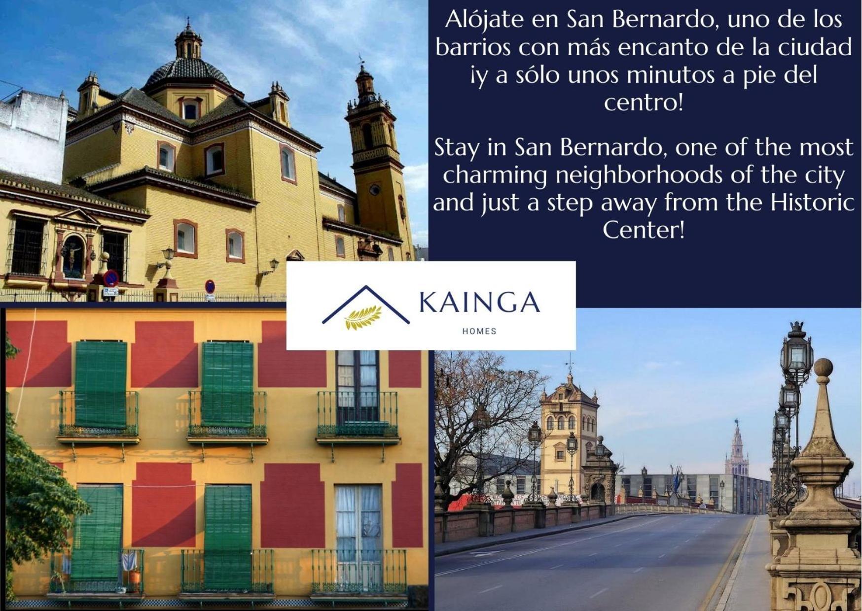 San Bernardo - Kainga Homes