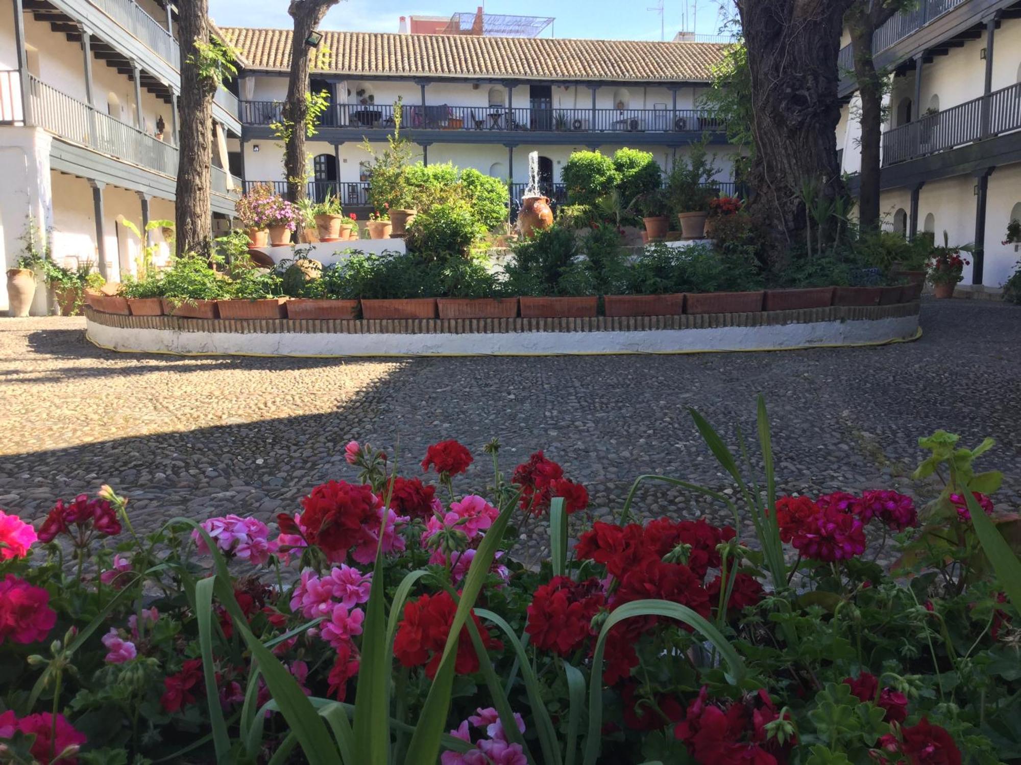 Andalusian Courtyard Seville