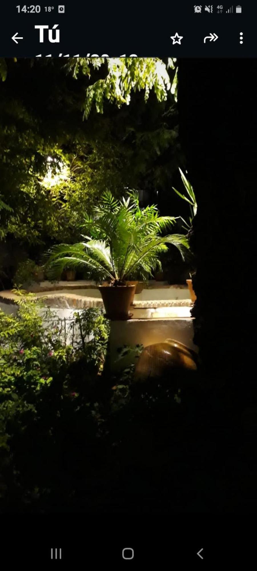Apartment Andalusian Courtyard Seville