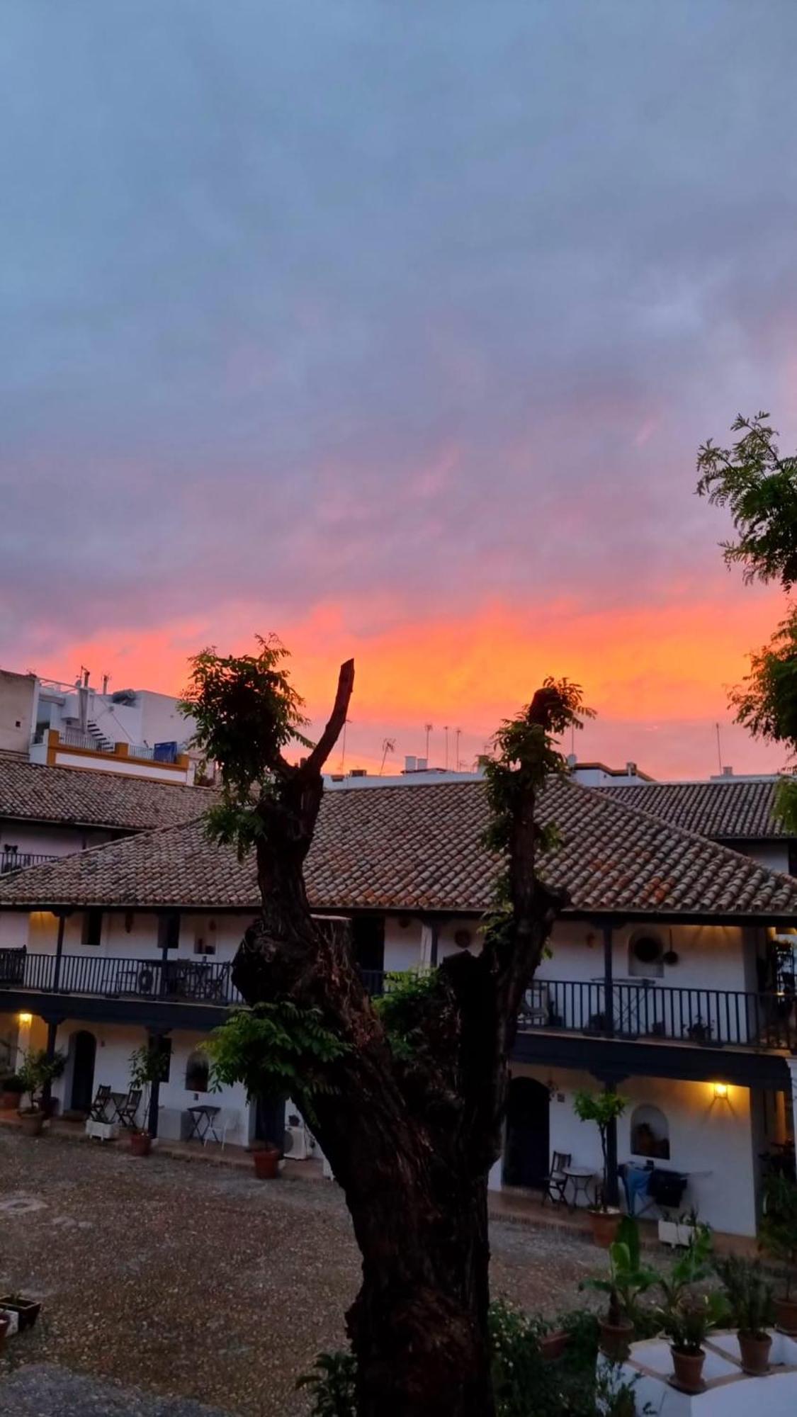 Andalusian Courtyard Seville