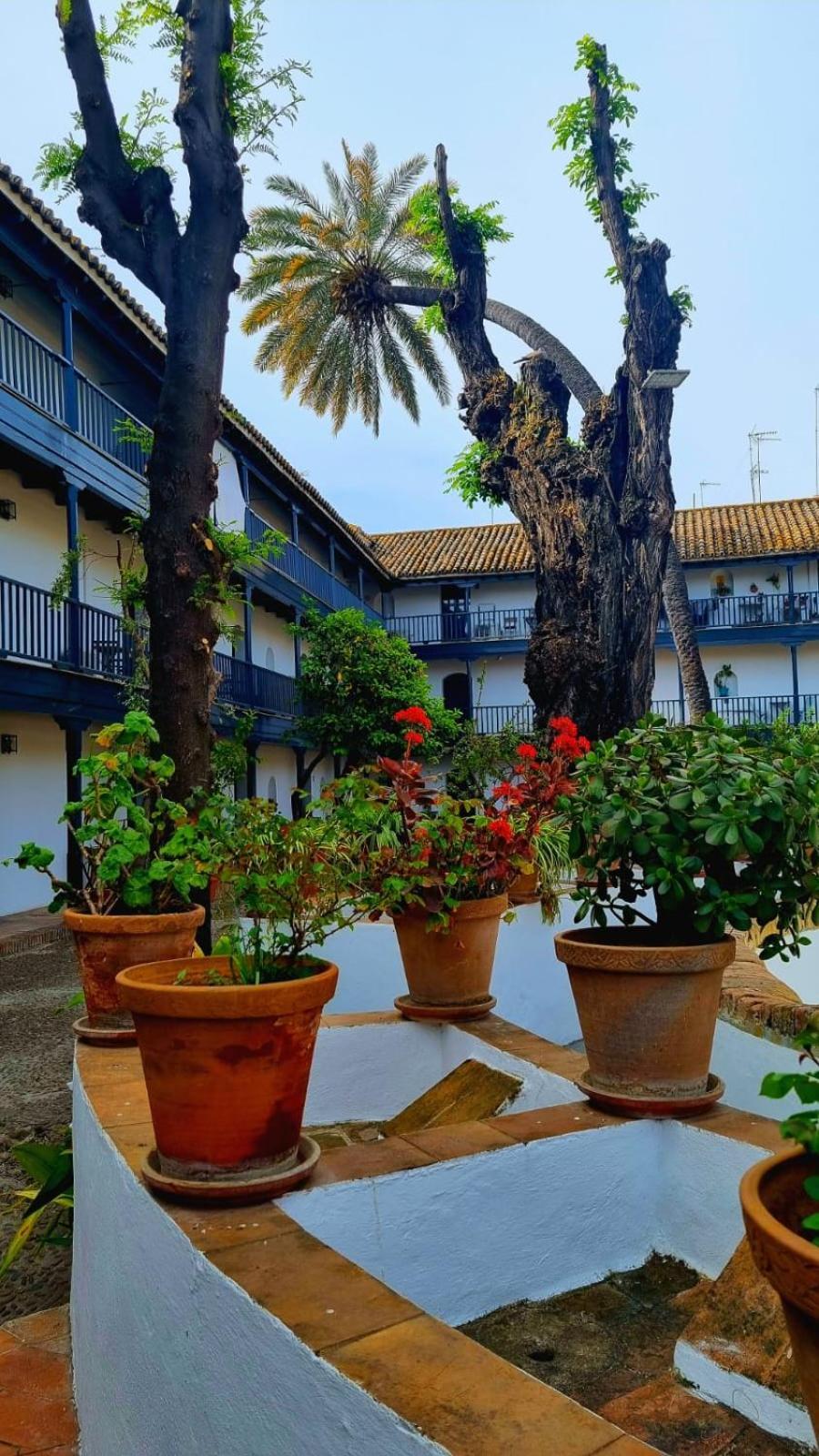 Andalusian Courtyard Apartment Seville