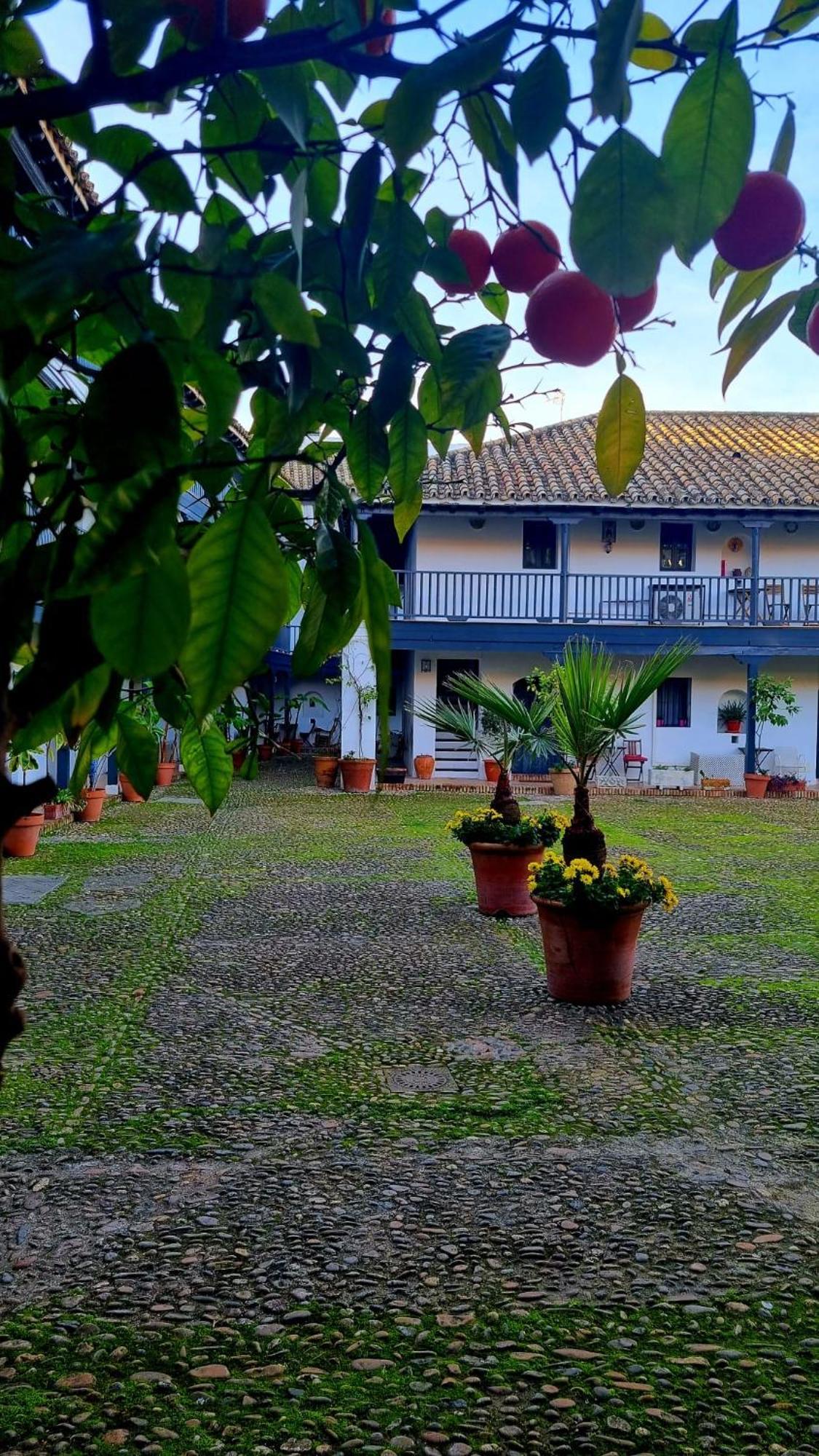 Andalusian Courtyard Apartment *