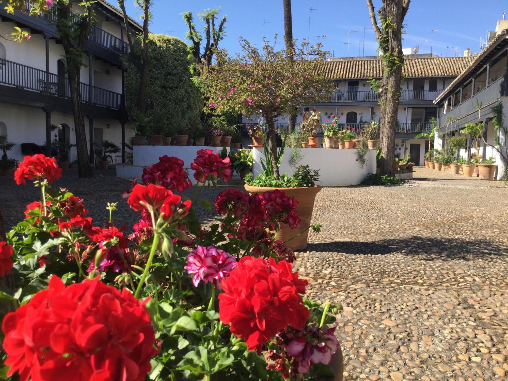 Apartment Andalusian Courtyard *