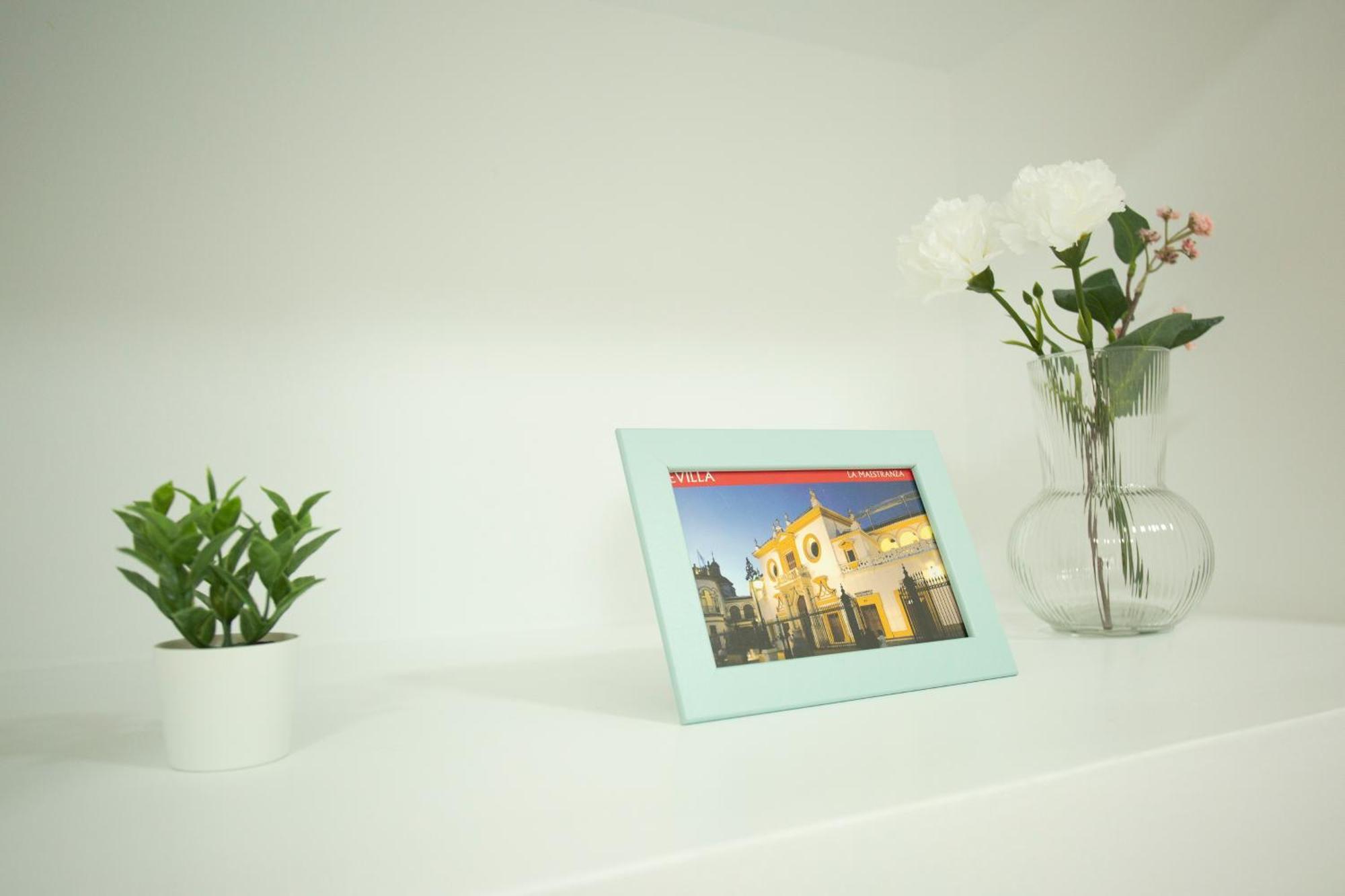 Apartamento Wish Amparo De Sevilla