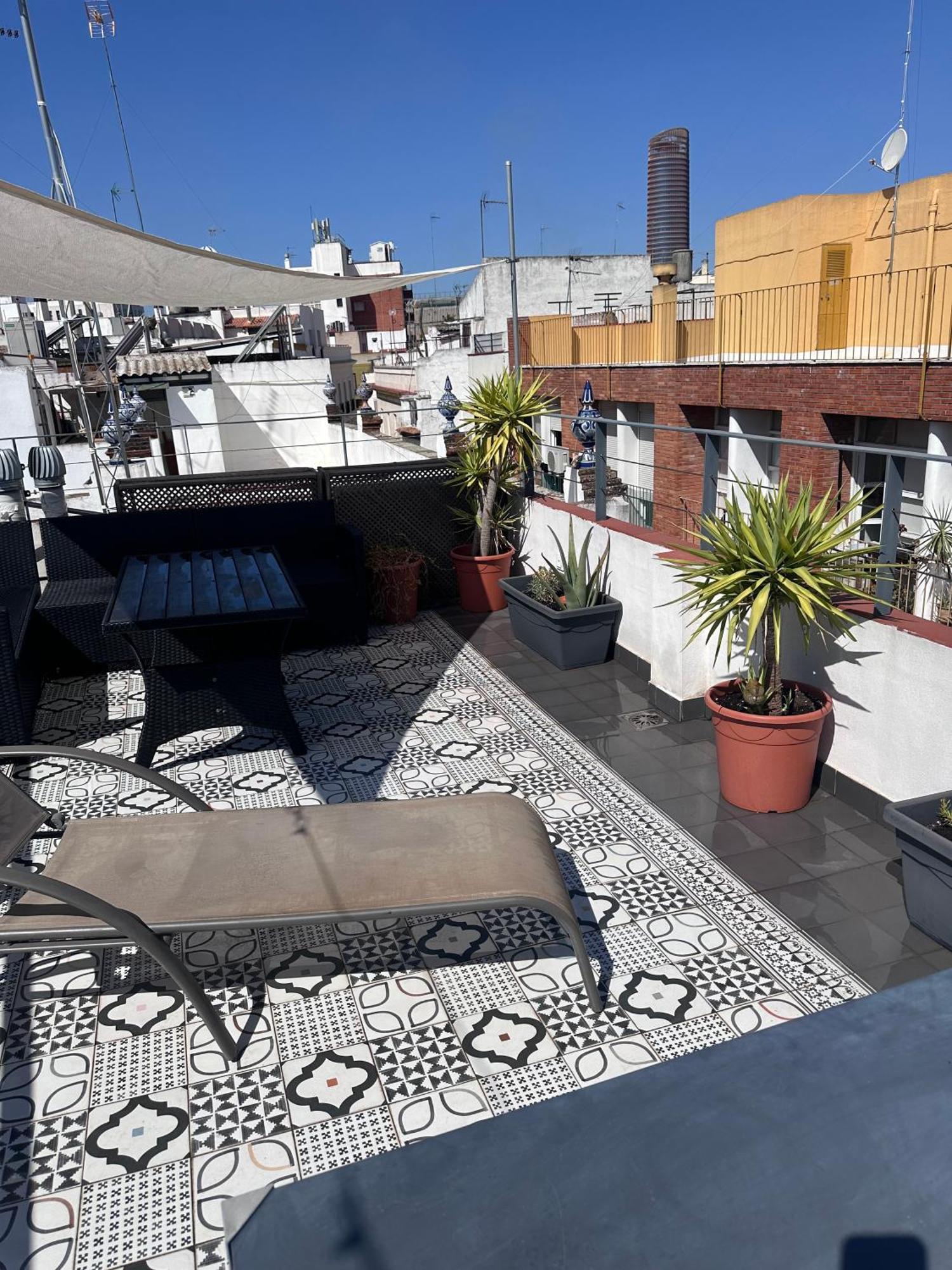 Rey De Flats - Duplex Museo