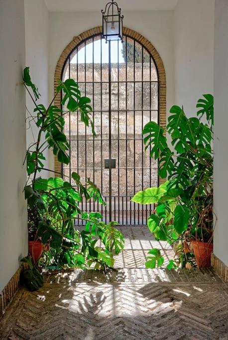 Apartamento Alfaro Historic Aparment Sevilla
