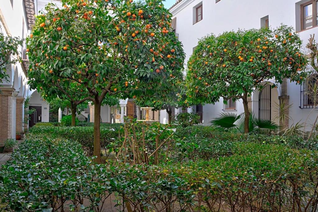 Apartamento Alfaro Historic Aparment *