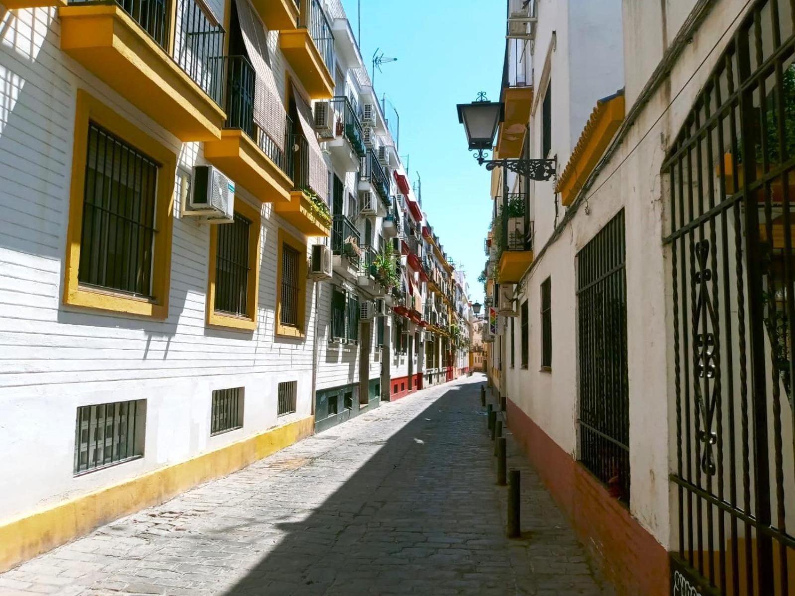 Homestay Roberta's Seville