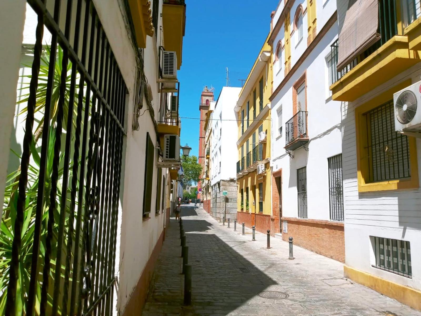 Homestay Roberta's Seville