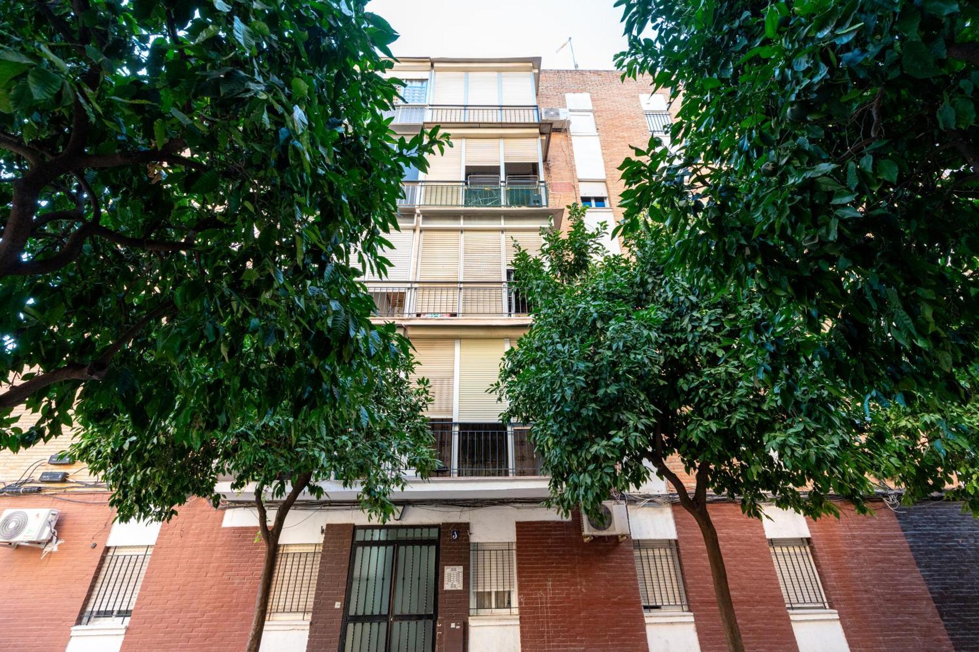 Piso Elegante Y Nuevo De 3 Y 2 Banos Apartment Seville