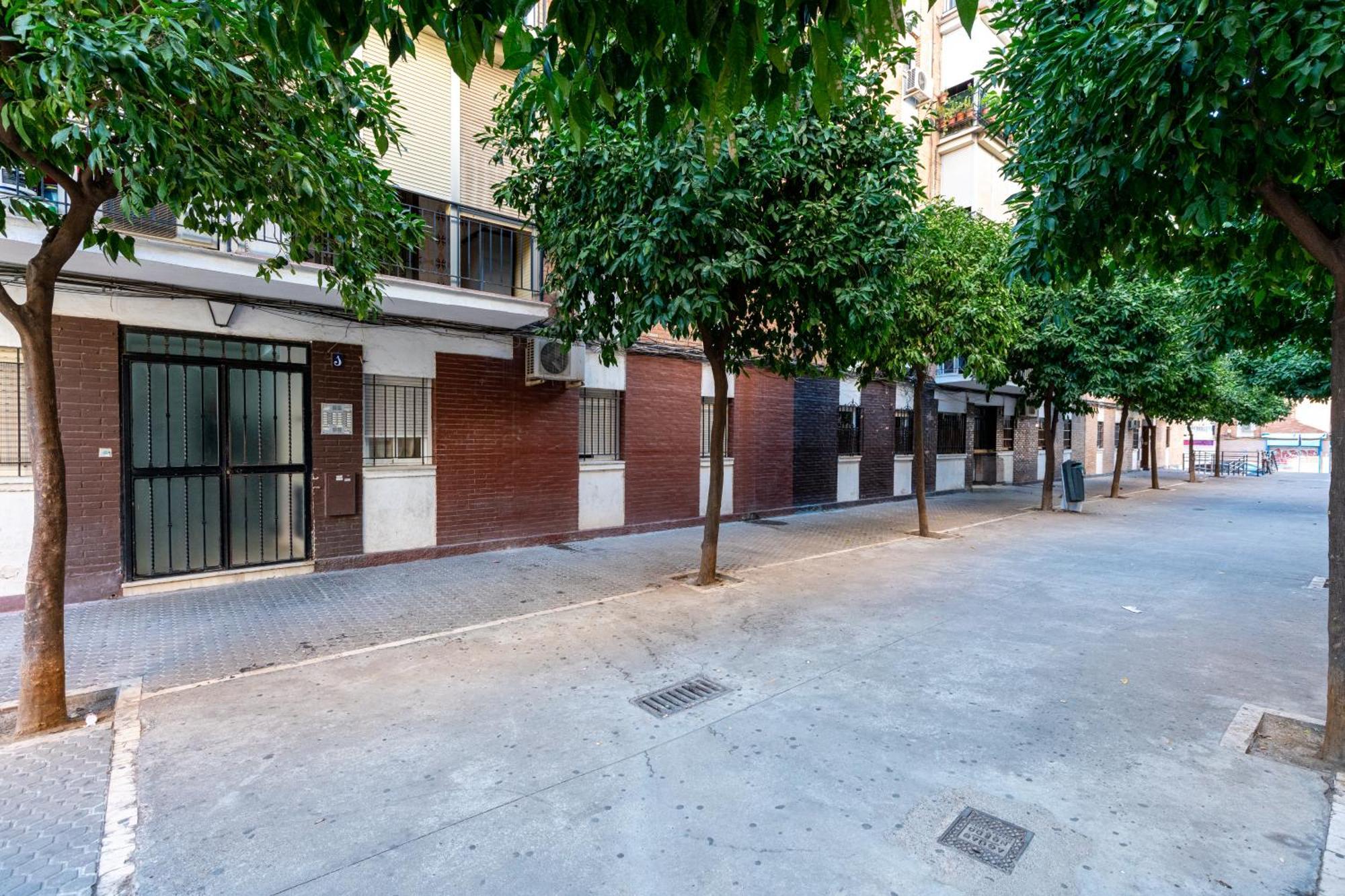 Piso Elegante Y Nuevo De 3 Y 2 Banos * Seville