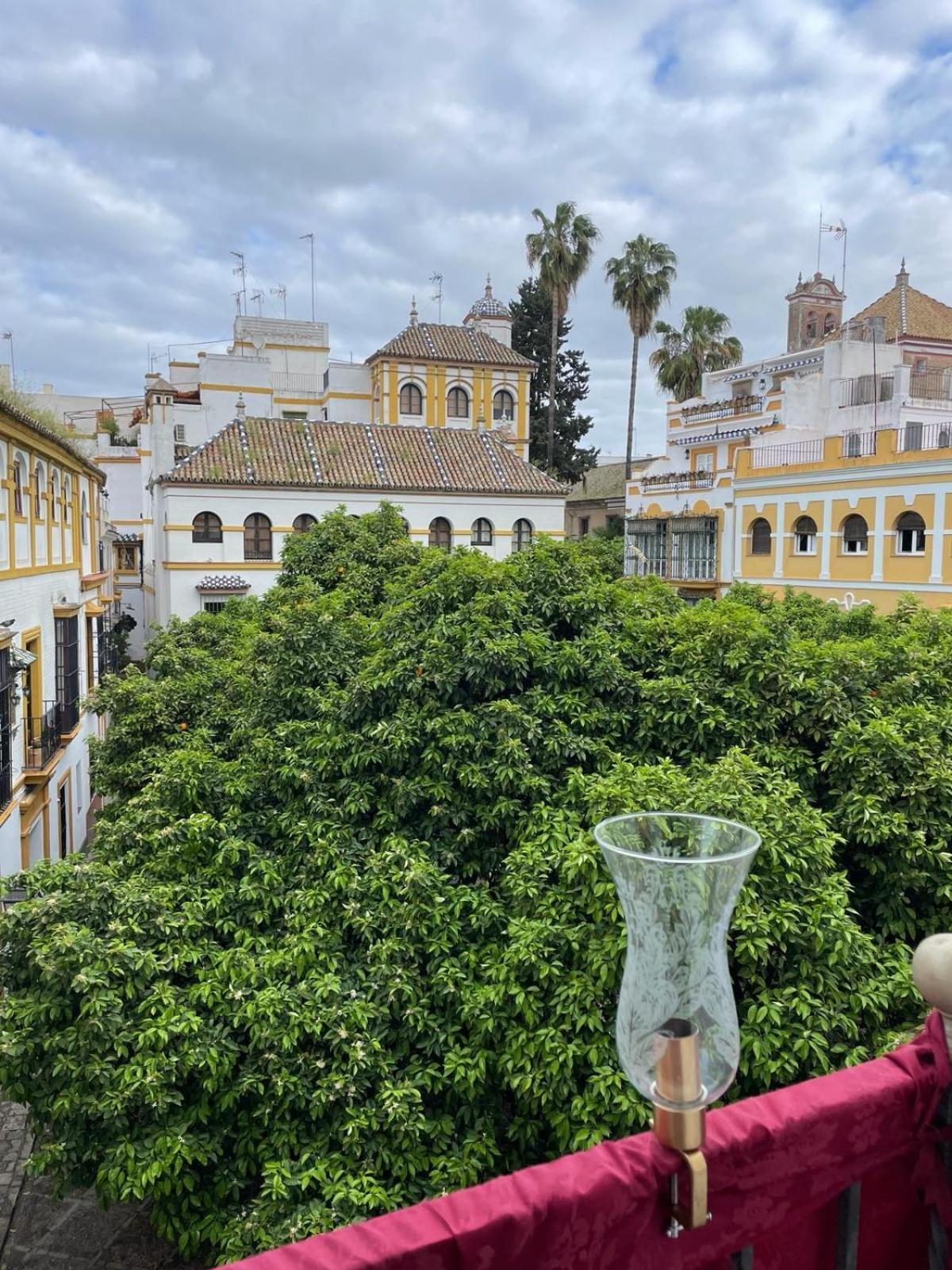 Plaza De Dona Elvira Alcazar