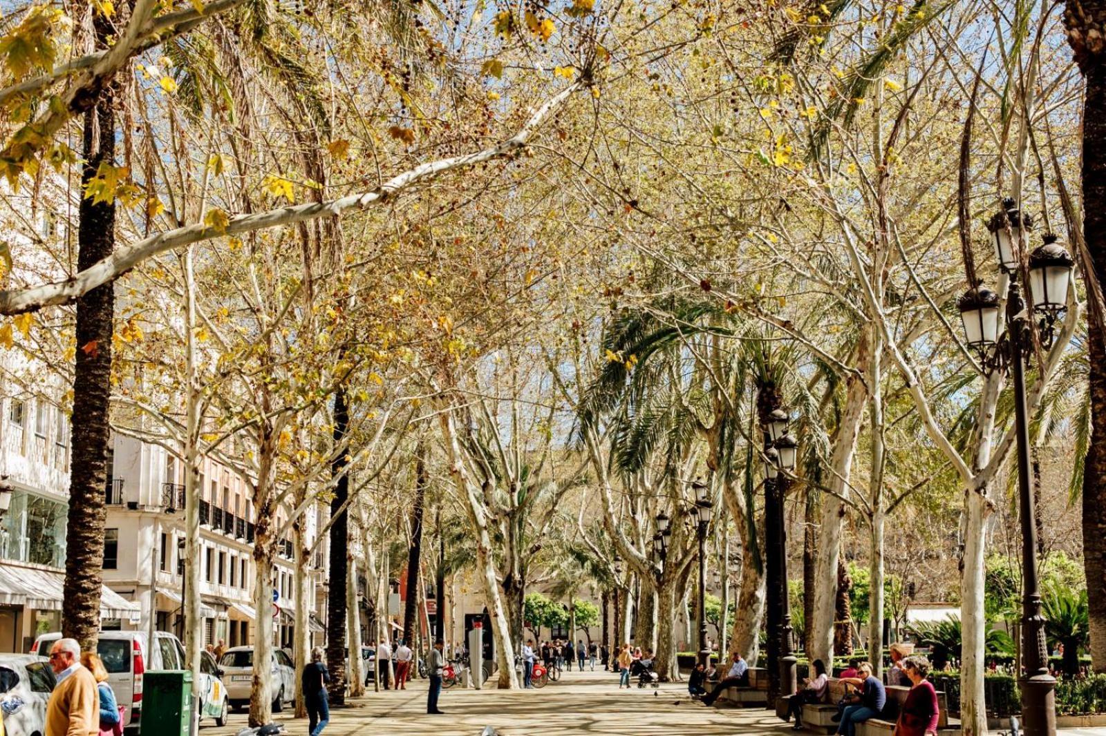 Plaza De La Magdalena I, Centro Historico * Sevilla
