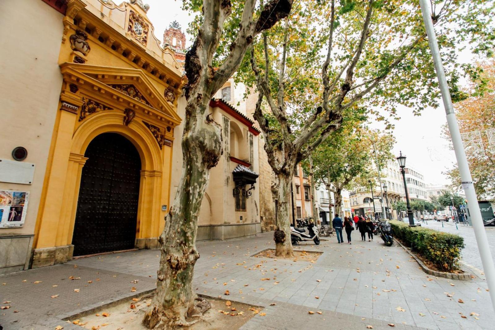 Plaza De La Magdalena I, Centro Historico