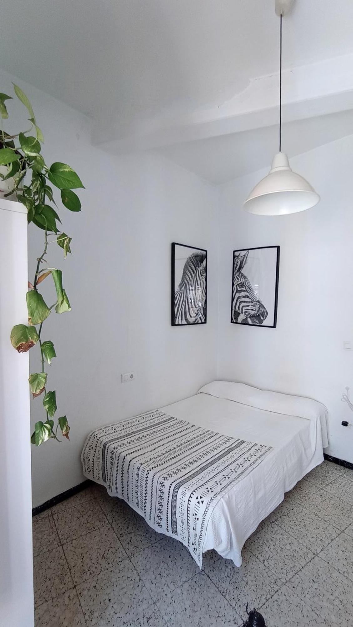Homestay Preciosa En Pleno Centro De Ideal Hacer Turismo Y Vivir La Ciudad Seville
