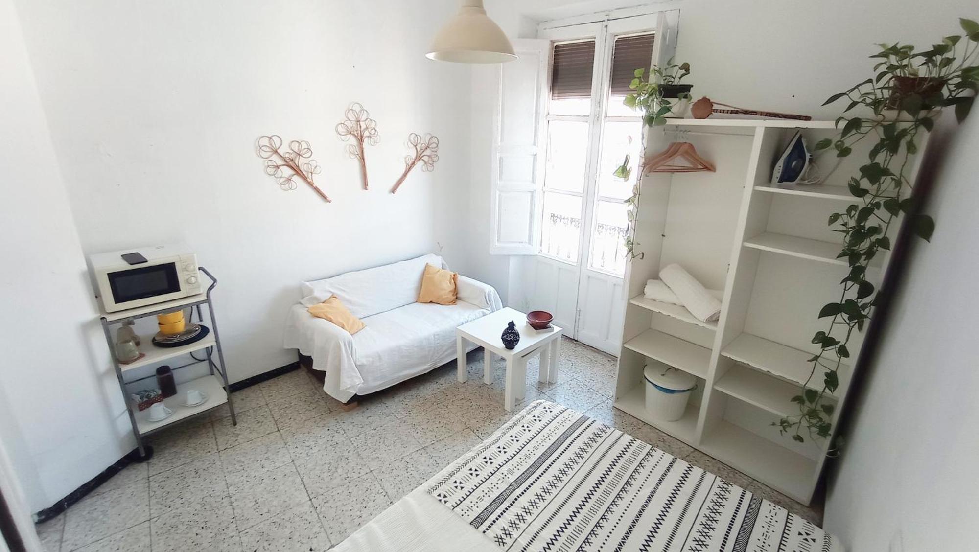 Preciosa En Pleno Centro De Ideal Hacer Turismo Y Vivir La Ciudad Homestay *