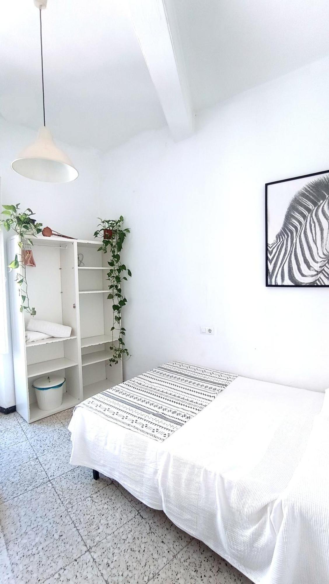 Homestay Preciosa En Pleno Centro De Ideal Hacer Turismo Y Vivir La Ciudad Seville
