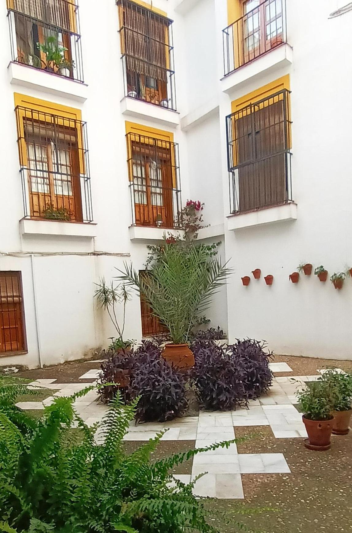 Historia Y Tradicion - Desde Dentro. * Seville