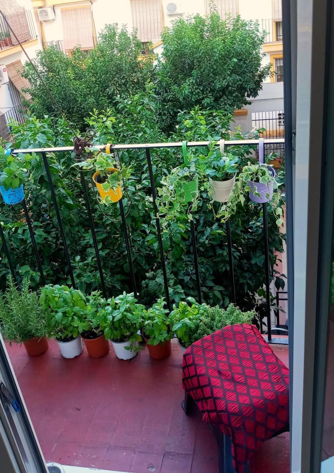 Homestay Roberta's