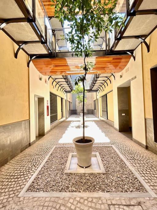 Hispalis Patio Del Rinconcillo Sevilla