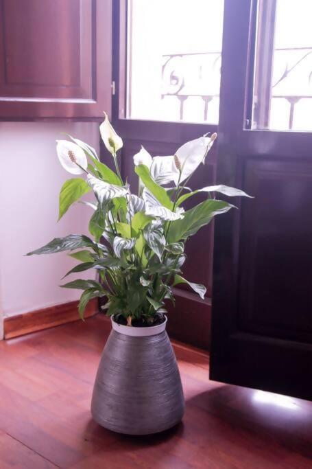 Apartamento Hosfty Centro Mirador San Marcos 1